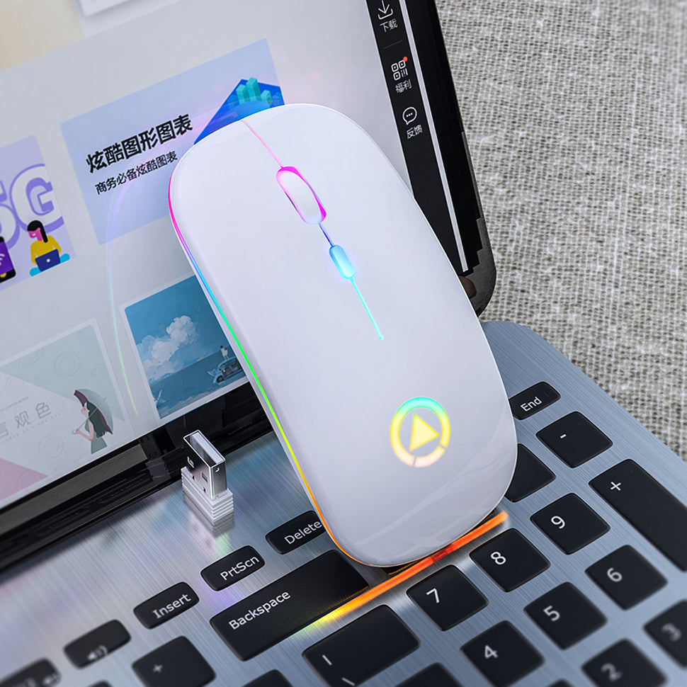 Silent rechargeable wireless mouse