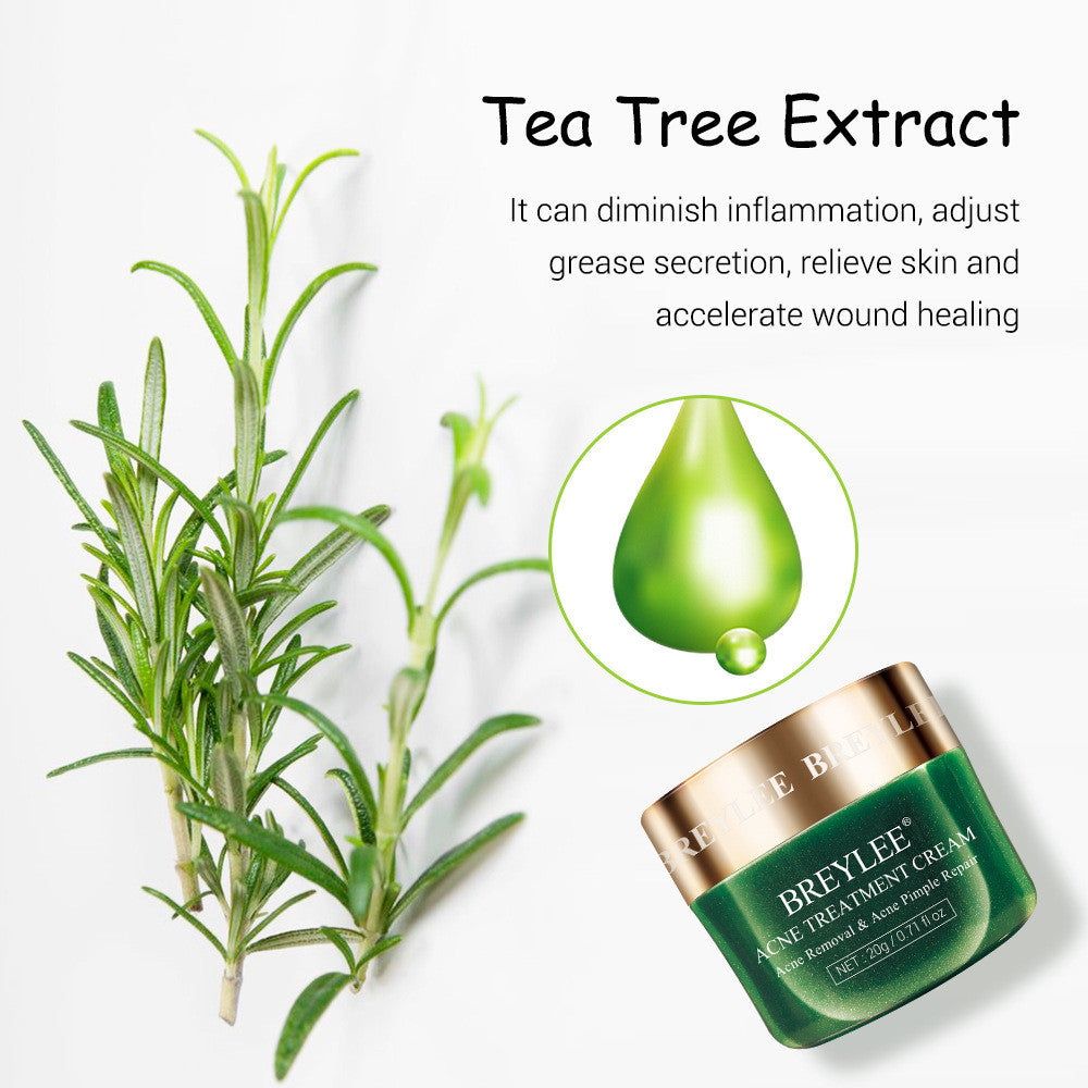 BREYLEE Tea Tree Acne Cream Moisturizing Acne Scars Scar Essence Cream